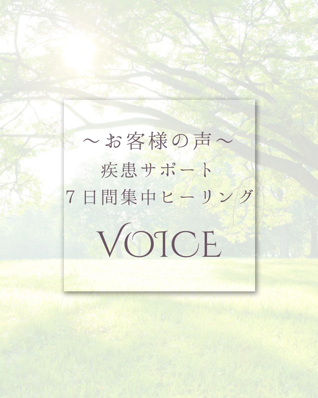 白　シンプル　上品　お客様の声　サロン　Instagram投稿 (1)